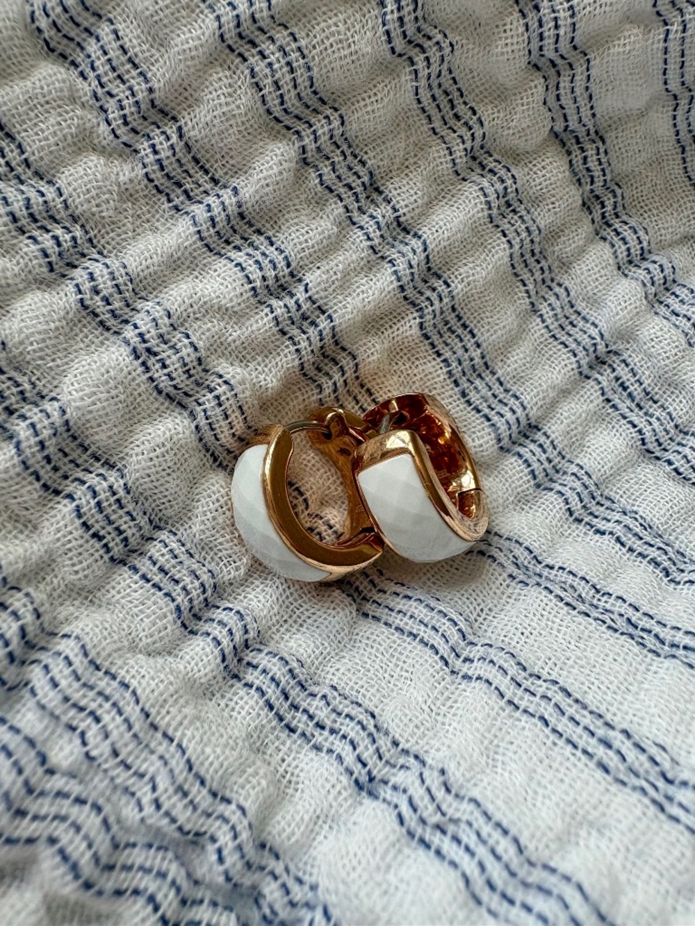 Fossil Hoop Earrings